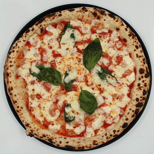 مارگاریتا M